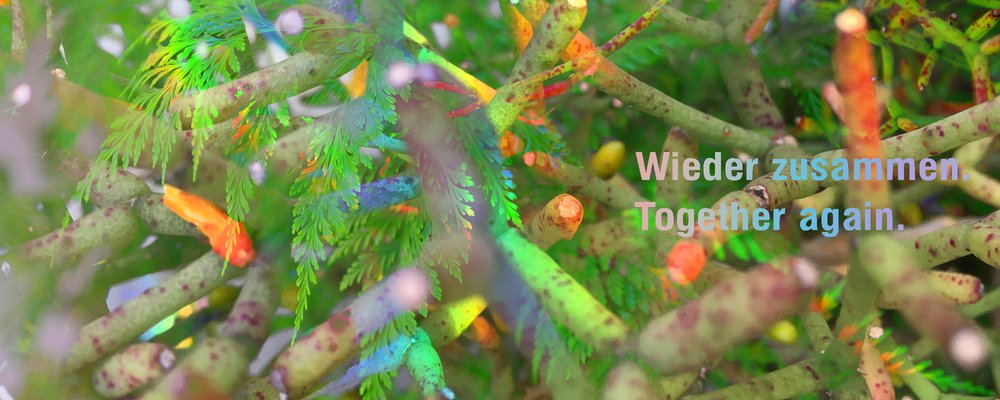 Wieder zusammen. | Together Again.