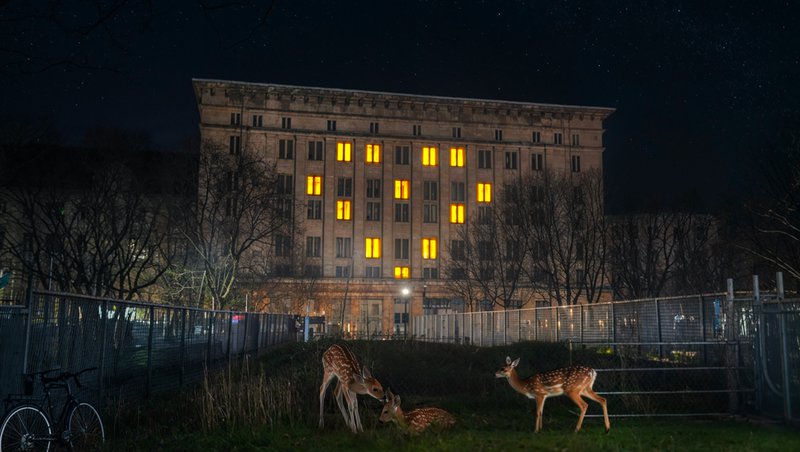 Berghain Website.png