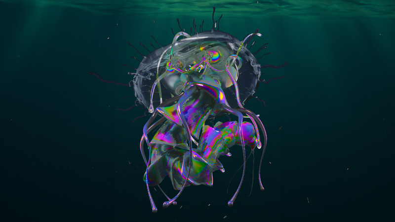 REEF_Mala_1920x1080.png