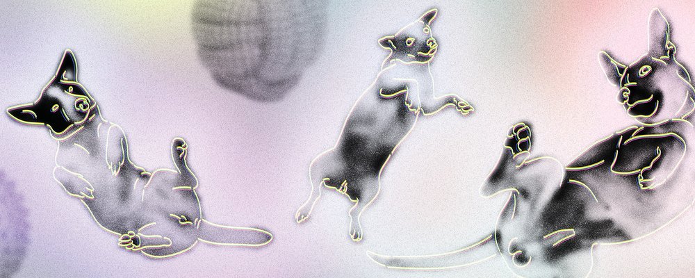 berghain-august-HEADER-2000x800